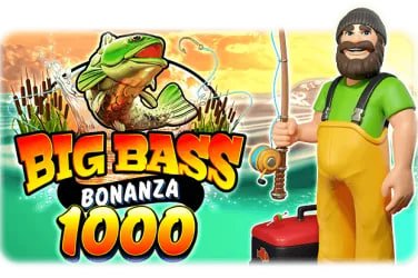 3pati boss